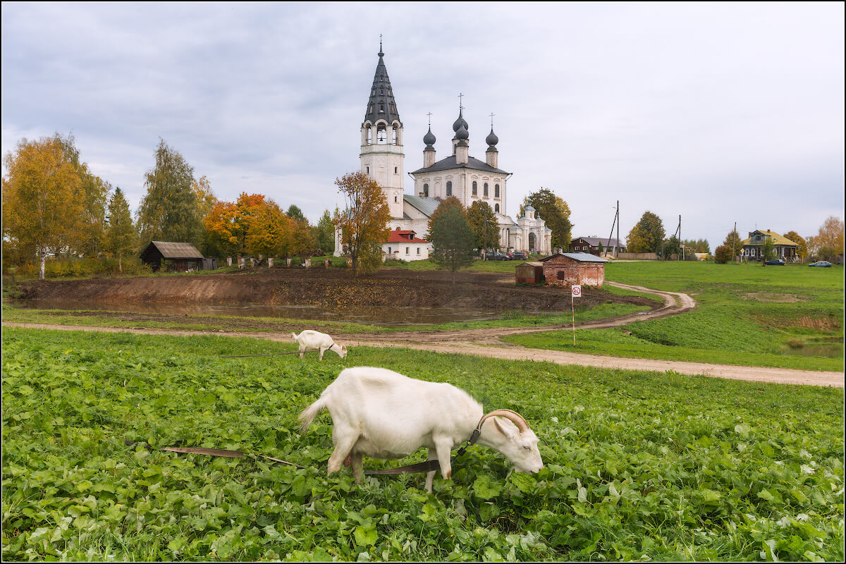 Красное ивановская область. Село красное Ивановская область Церковь. Село красное Палехский район. Палехский район Ивановской области. Свято Знаменский храм красное Ивановская область.