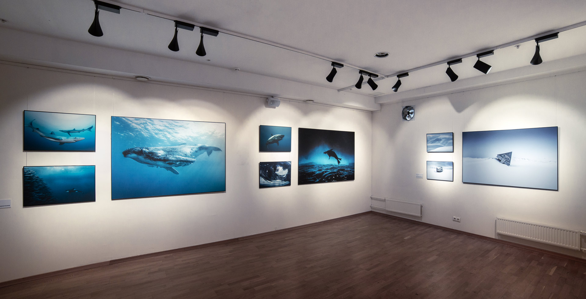 Экспозиция Nature Photo Team в Галерее Классической Фотографии, 2020 год
