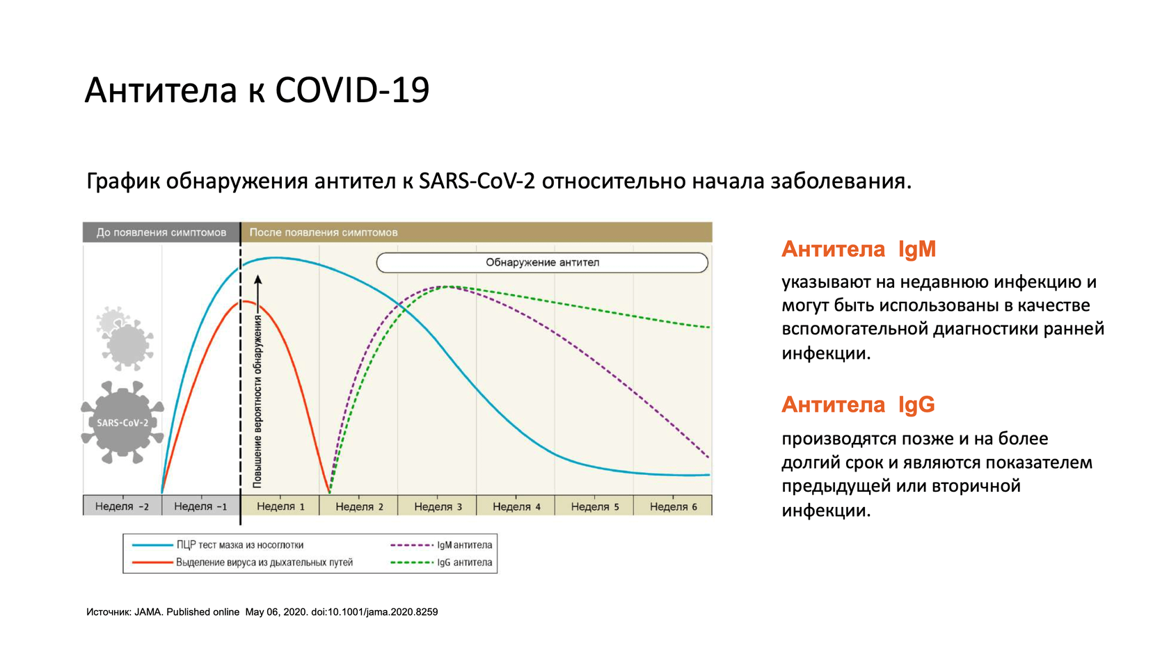 Количество антител igg. IGG антитела к коронавирусу график. SARS-cov-2 -IGM антитела к коронавирусу SARS-cov-2 IGM. Антитела к коронавирусу IGM И IGG. Антитела ковид IGG.