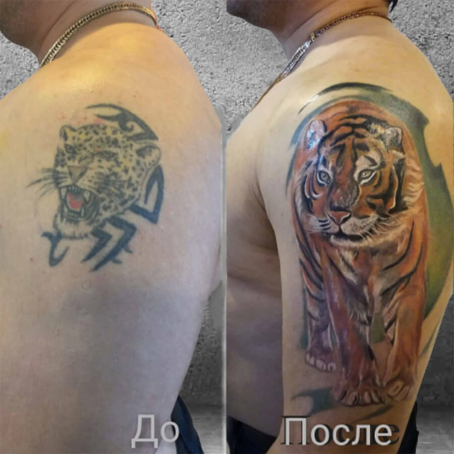 тату тигр, перекрытие, лучшие тату салоны Перми