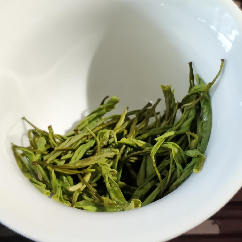 Anji Bamboo Forest mountains where Anji White Tea grows