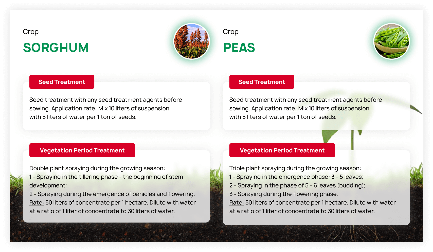 Студия веб-дизайна Шеиной Александры. Разработка сайта на тильде. Сделать сайт на тильде. Заказать сайт на тильде.