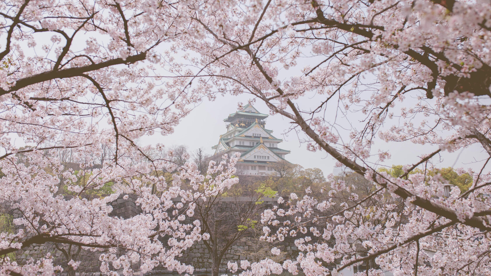 Замок Осака. Япония