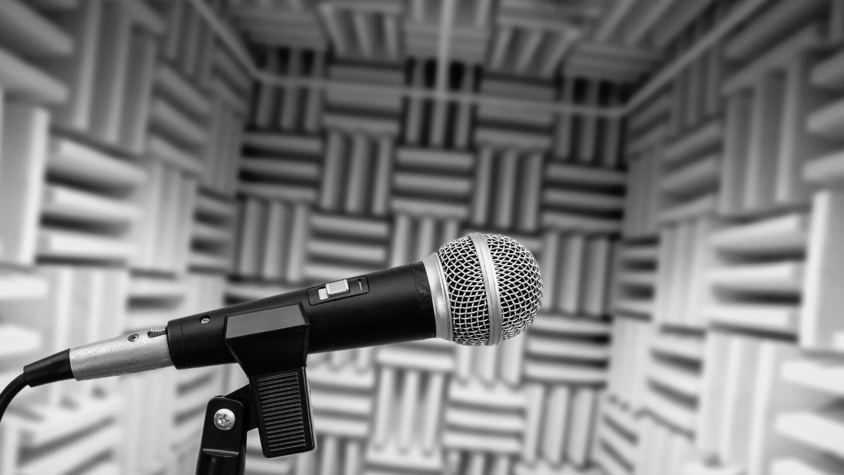 микрофон в школе вокала