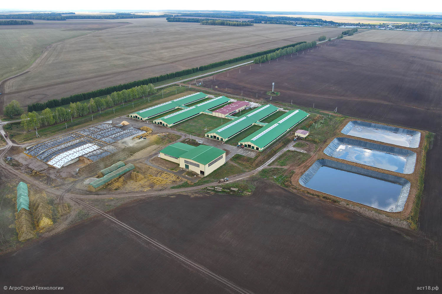 Комплекс СХПК Колхоз «Колос»