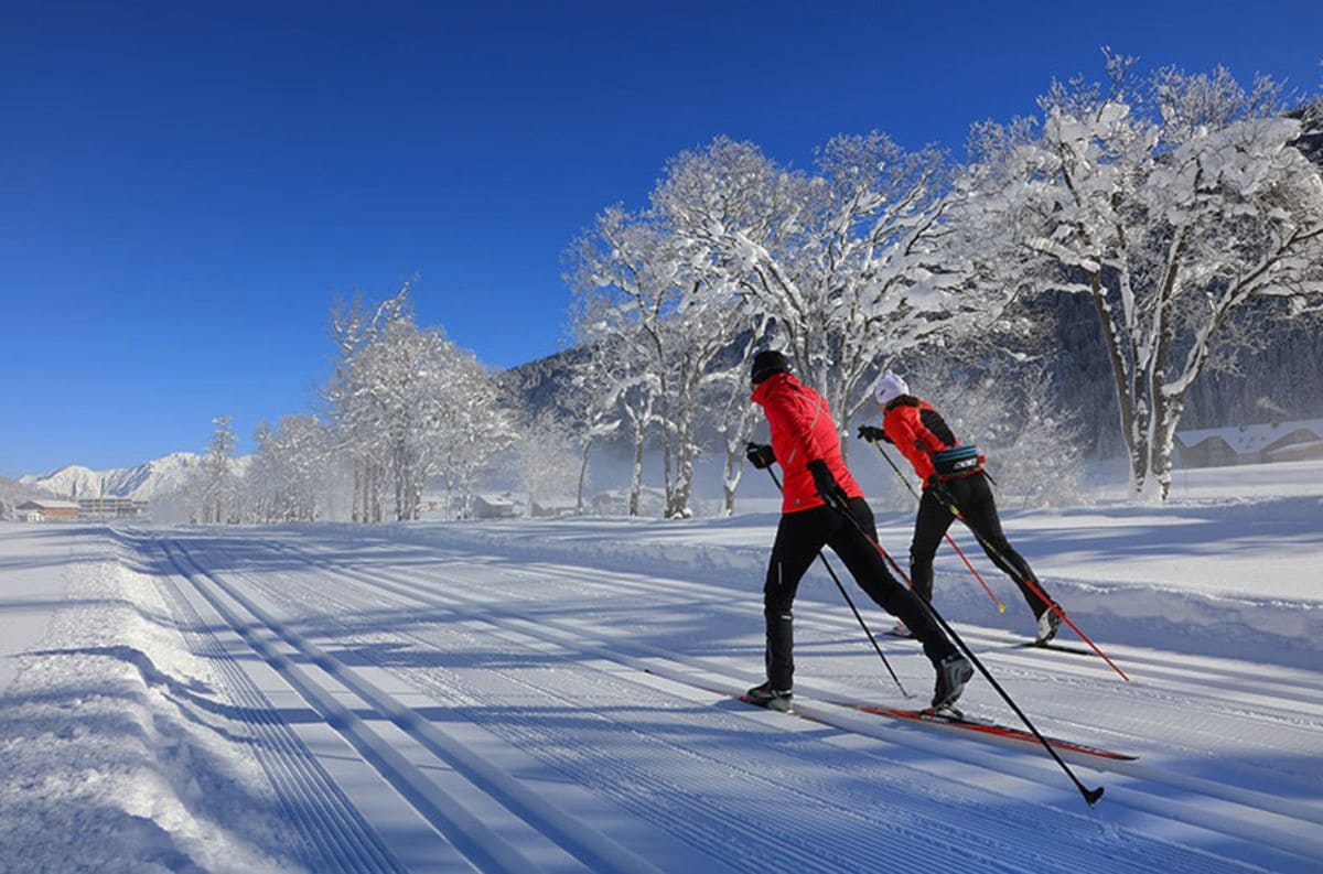 Cross Country Skiing Fisher