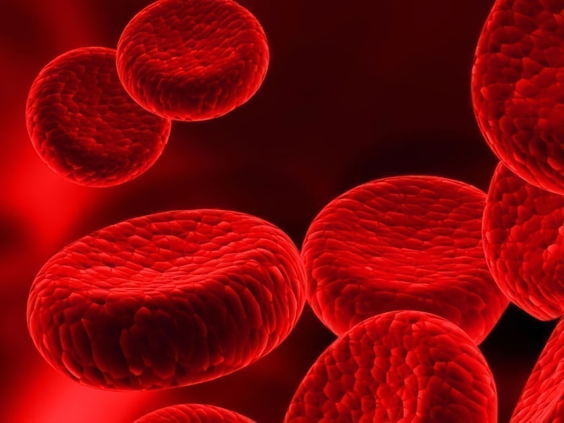 Создан препарат на основе гемоглобина, который дает новые возможности для лечения тяжелых травм