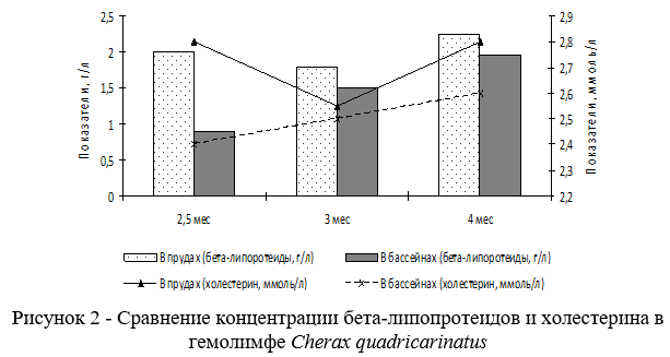 Сравнение концентрации бета-липопротеидов и холестерина в гемолимфе Cherax quadricarinatus