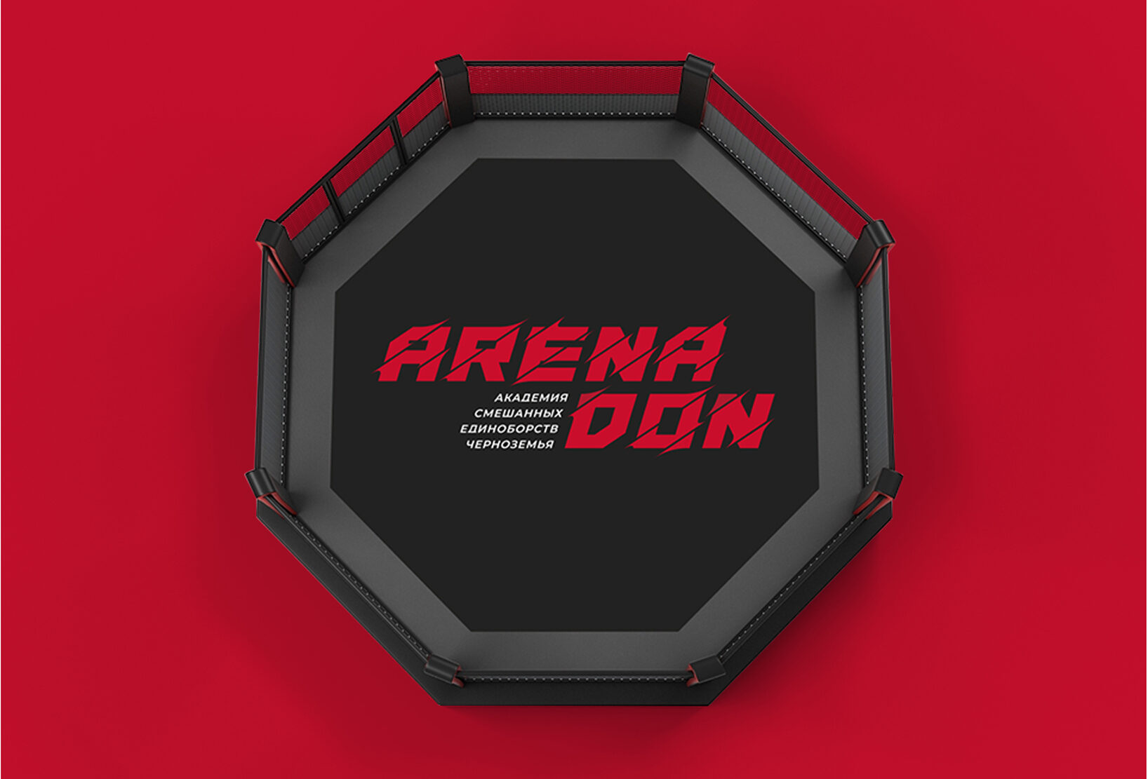 Arena Don – материал проекта