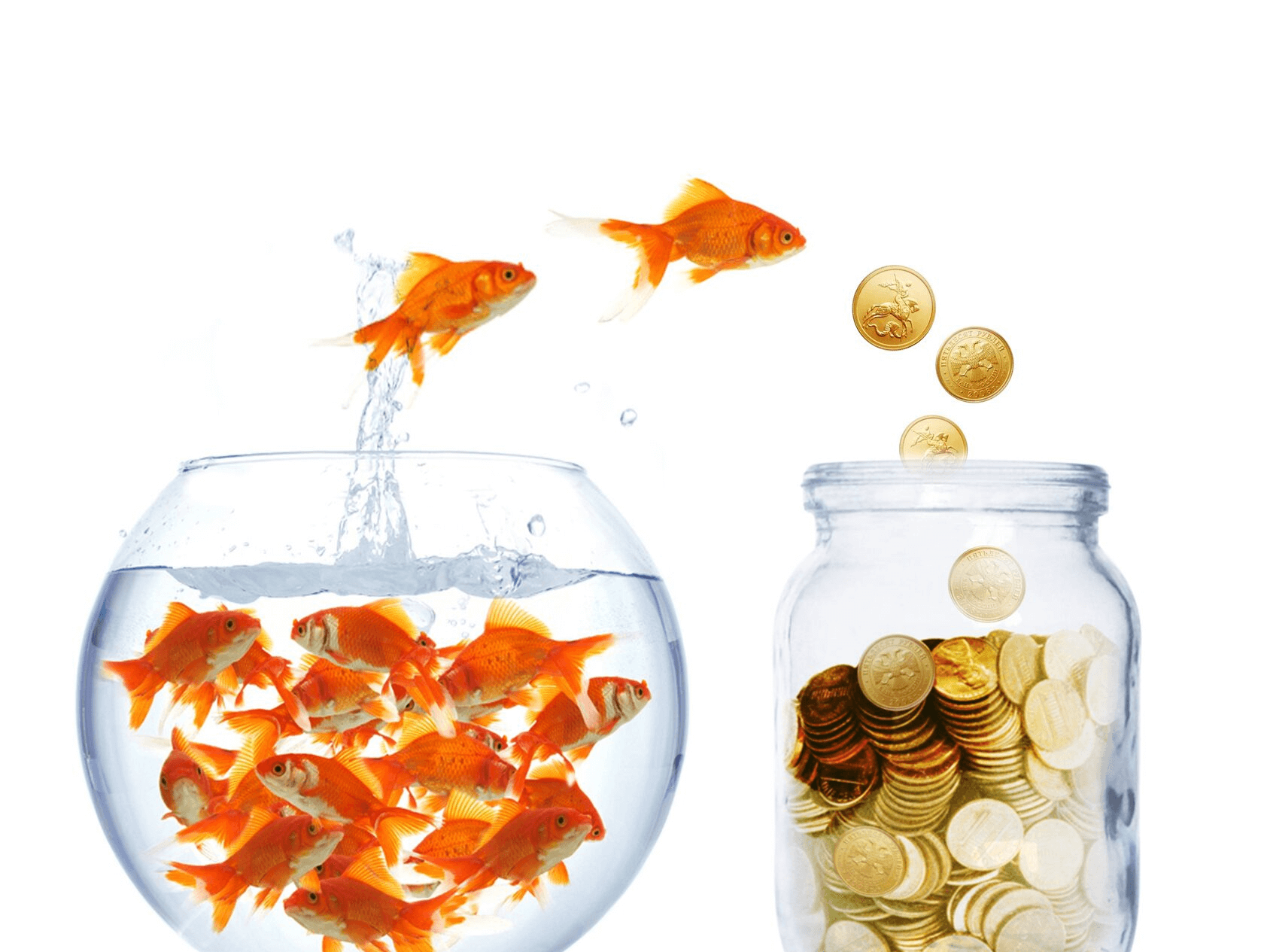 Финансовый консалтинг и бухгалтерия для ИП и ООО