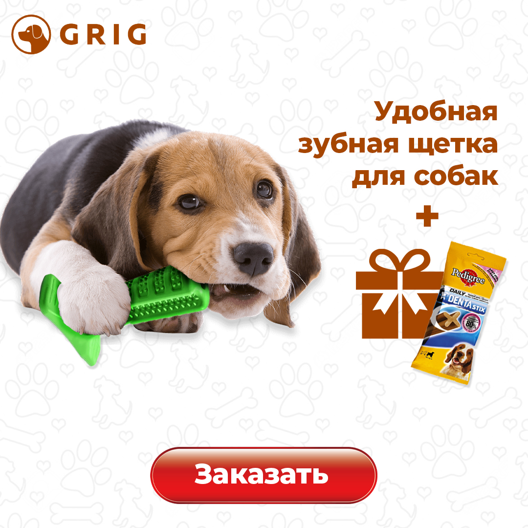 GrigDog - Самая эффективная зубная щетка для удаления и профилактики зубных  камней у собак!