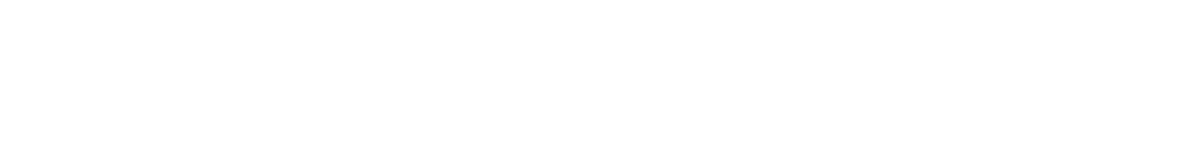 Документатор