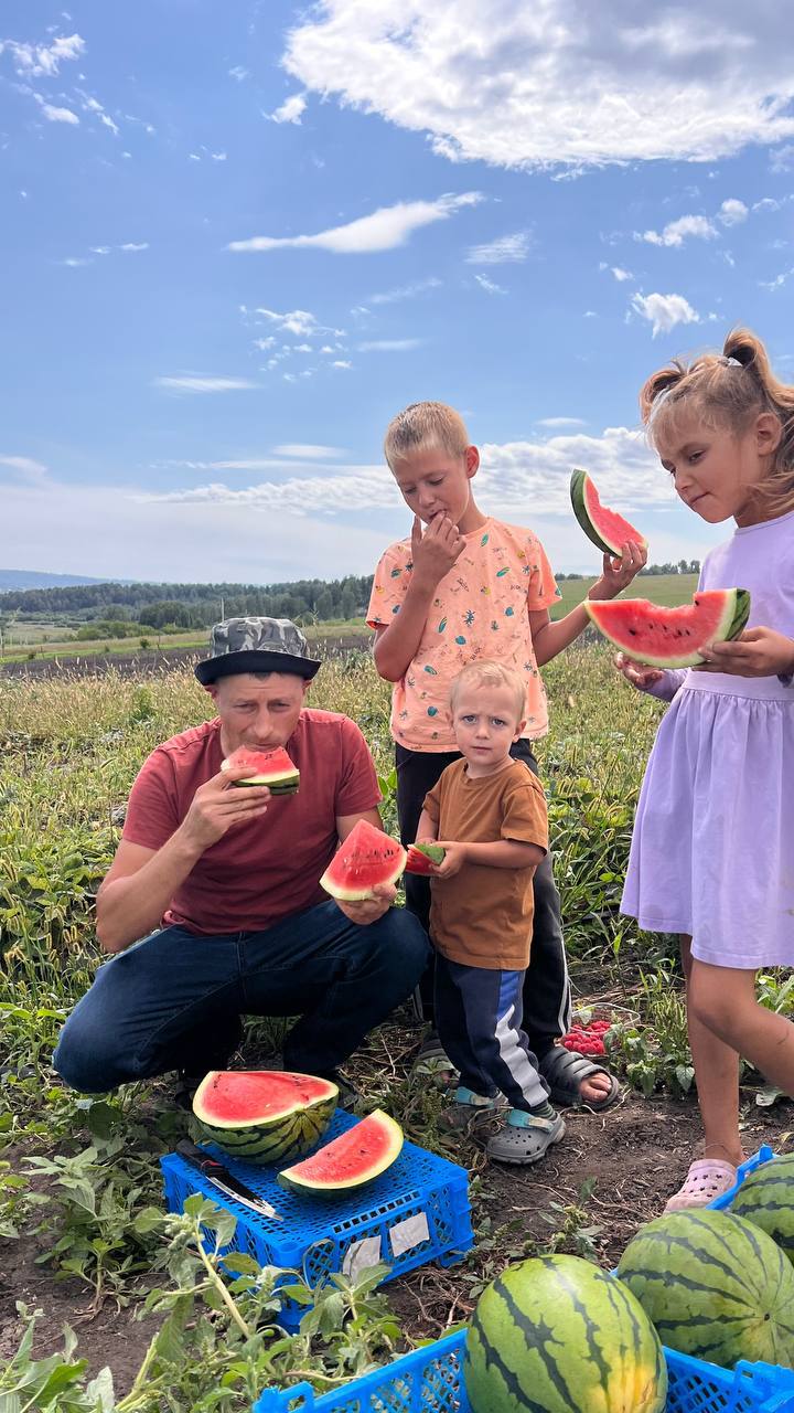 Семья на бахче семейной фермы Шаповал