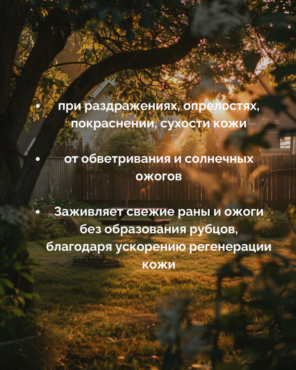 -3
