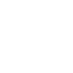 Портретная экспертиза