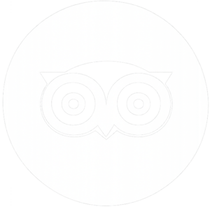 website icon