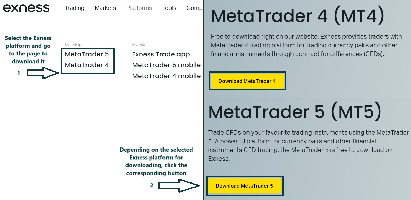 Exness Copy Trading Explained