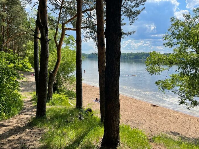 Пляж лечищево истринское водохранилище