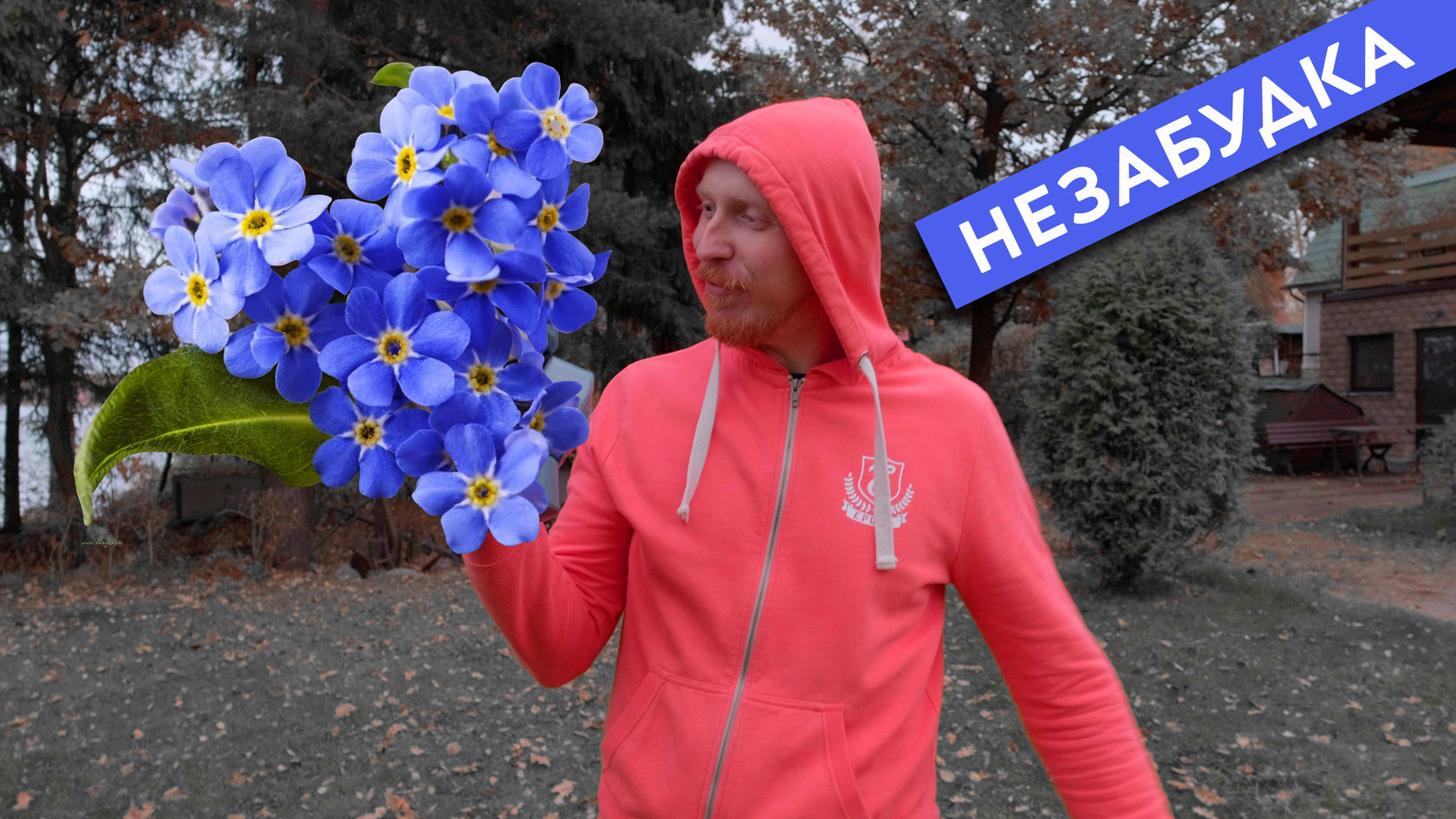 незабудки беларусь. тима белорусских незабудка. незабудки беларусь. тима беларусь незабудка. тима белорусских незабудка обложка.