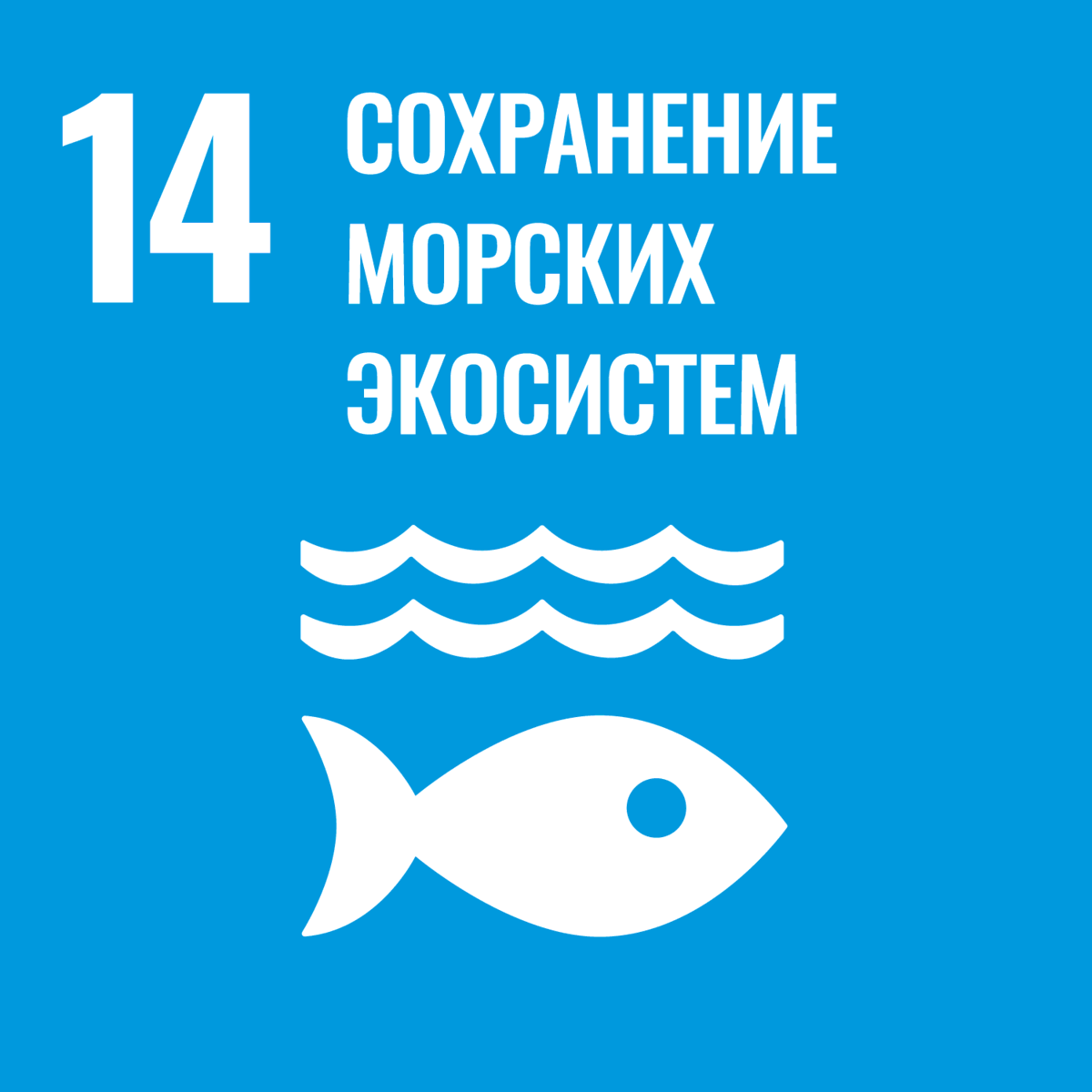 ЦУР №14 - Сохранение морских экосистем