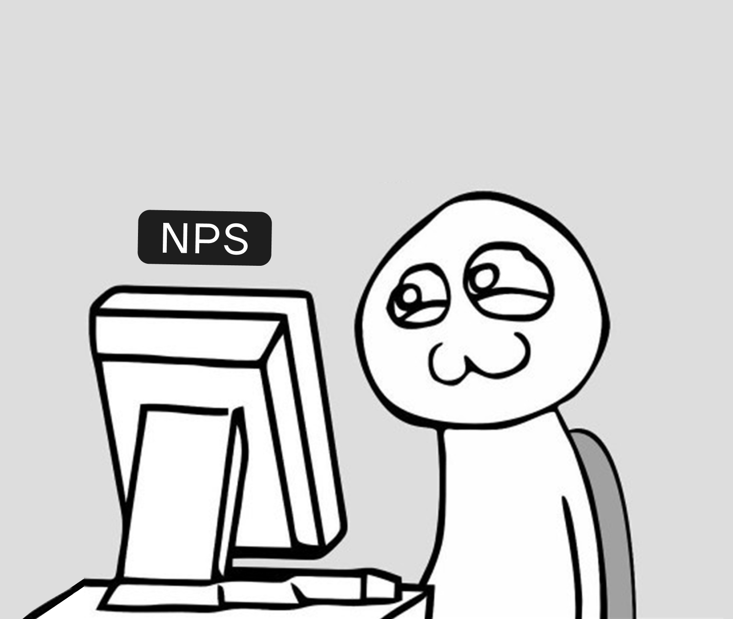 что такое nps?
