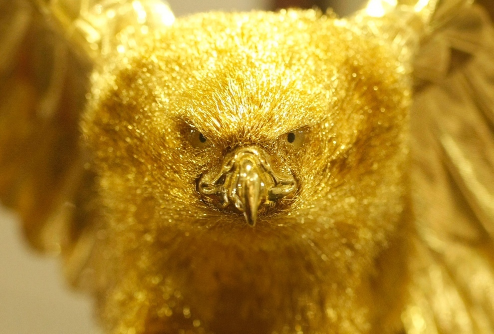 Gold bird s. Золотистая птица. Золотой. Золотые животные. Золотой Орел.