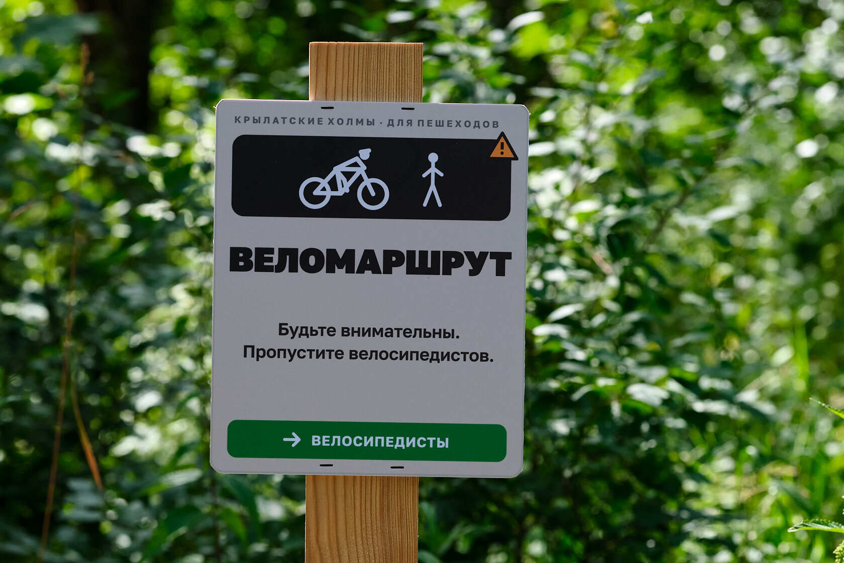 Информационная табличка «Веломаршрут» на деревянном столбике в парке Крылатские холмы
