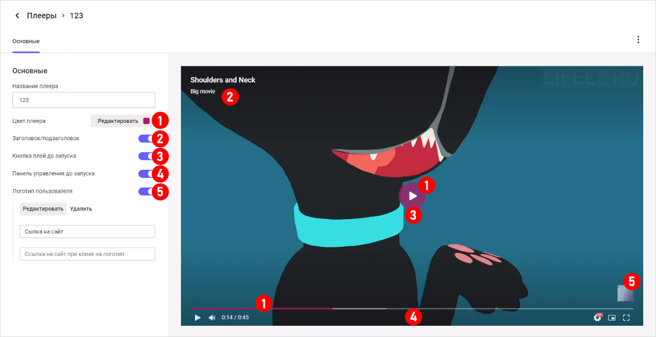 Kinescope, Кинескоп, видео с защитой от копирования, Александр Павлычев