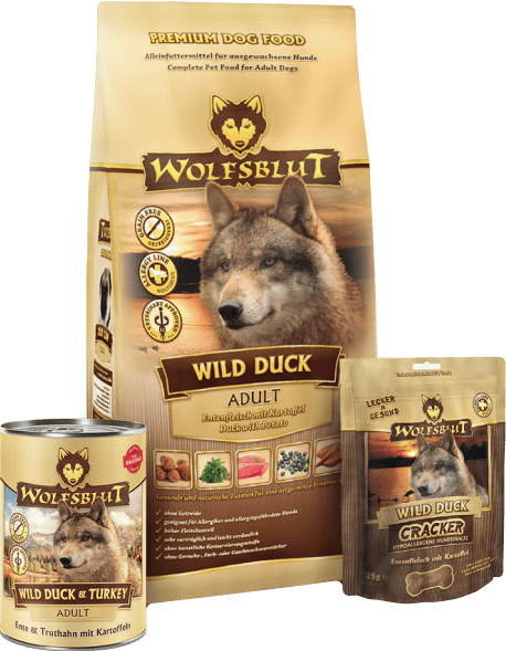 Гипоаллергенный корм для собак премиум класса — Wolfsblut и Jollydog