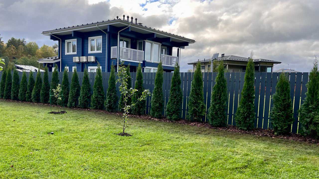 Купить деревья и кусты для живой изгороди из питомника в Санкт-Петербурге