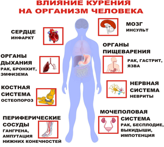 Ни для кого не секрет, что курение вредит здоровью