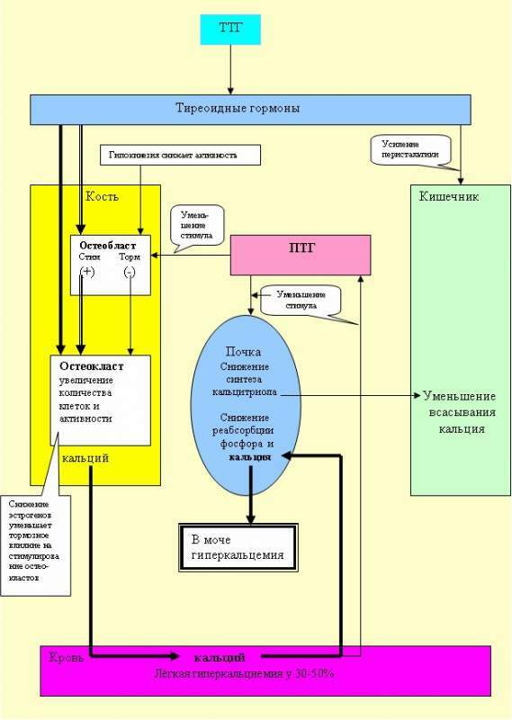 Лечение гиперпаратиреоза