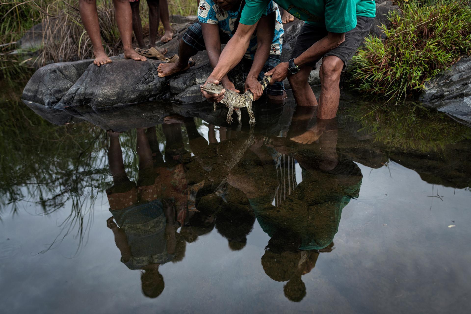 Philippines | Giacomo d’Orlando. Members of the Dunoy community release a young crocodile into a stream near the Disulap River as part of a conservation programme to restore the Philippine crocodile population. 