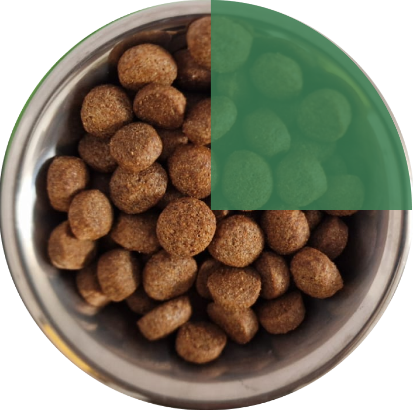 Правила перехода на сухой корм Frais 1-2 день 