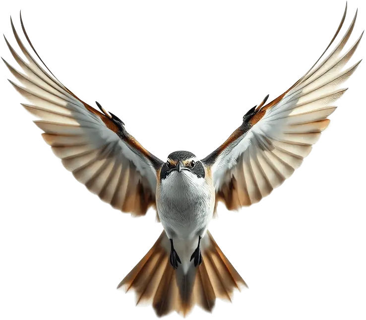 Современные квартиры в ЖК Соловьиная роща Смоленск