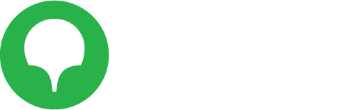 2GIS