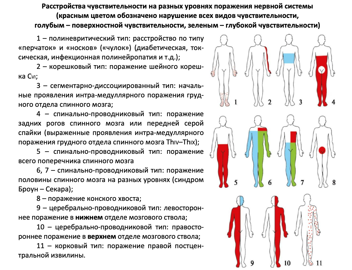 Глубокая чувствительность виды