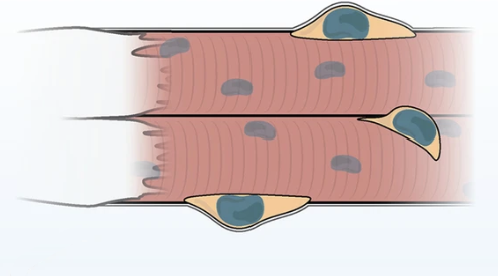 Ein Bild, das Zeichnung, Kinderkunst, Cartoon, Kunst enthält.
KI-generierte Inhalte können fehlerhaft sein.