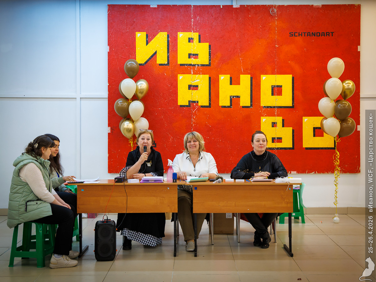 Выставка в Иваново