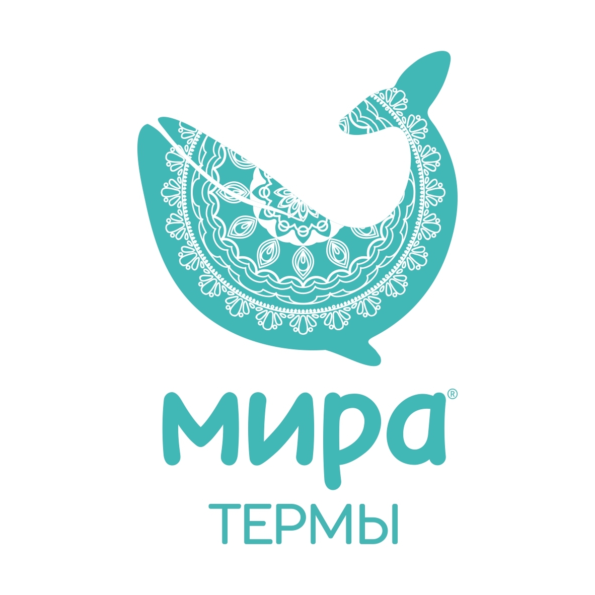 Карта термы мира