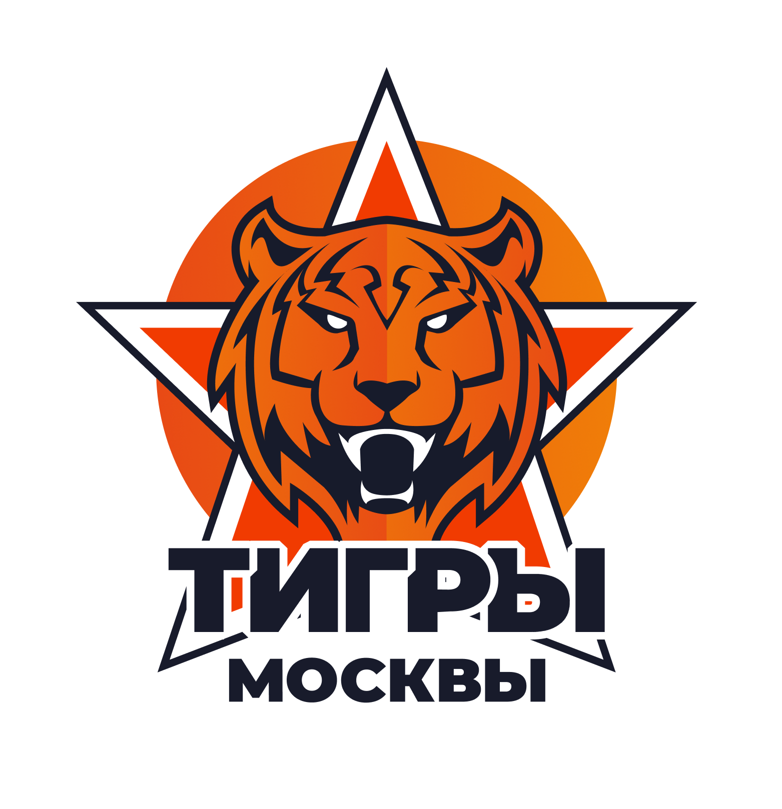  Хоккейный клуб Тигры Москвы 