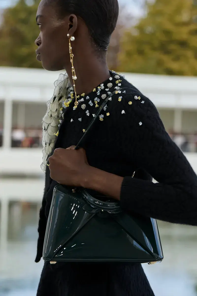 Сумки Dior Spring 2027 31