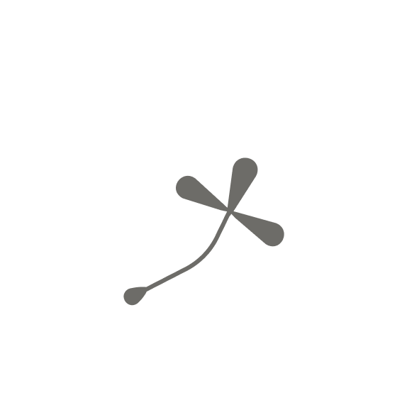 Electrolysis Hair Removal Dubai