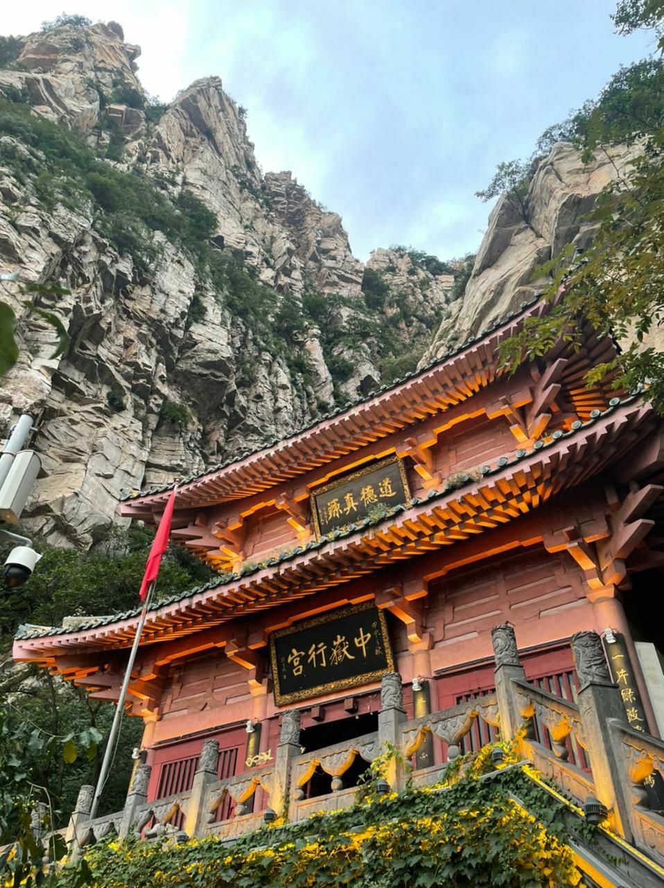 Цигунтерапия: базовый курс