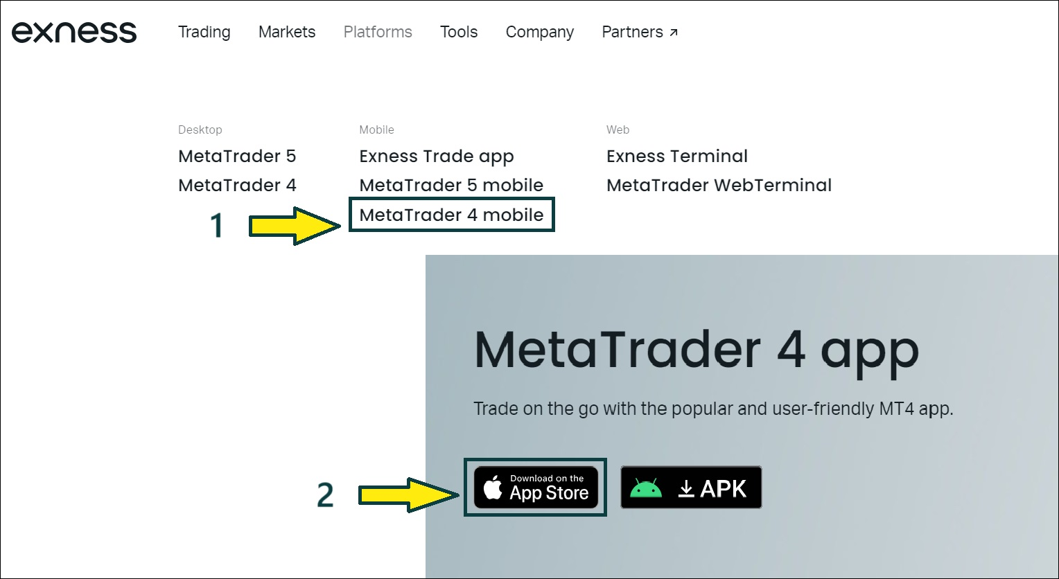 Exness MetaTrader 4: The Google Strategy