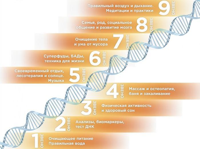 Первая школа биохакинга схемы