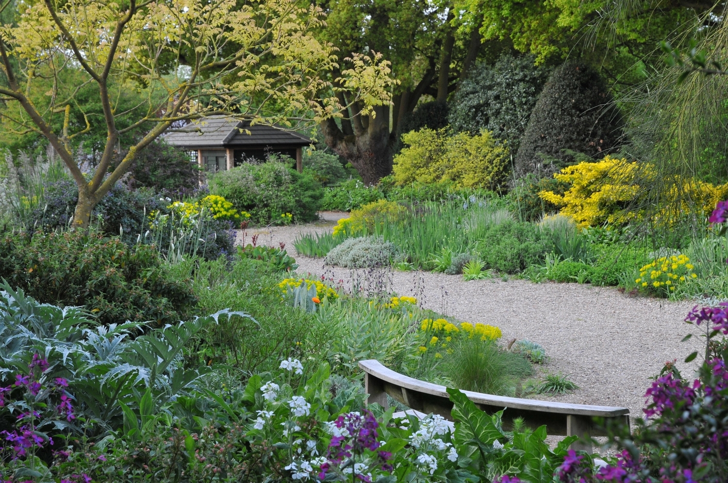Прогулочная зона - цветник с размахом и петляющими дорожками Cottage garden desi