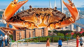 Новости Владивостока