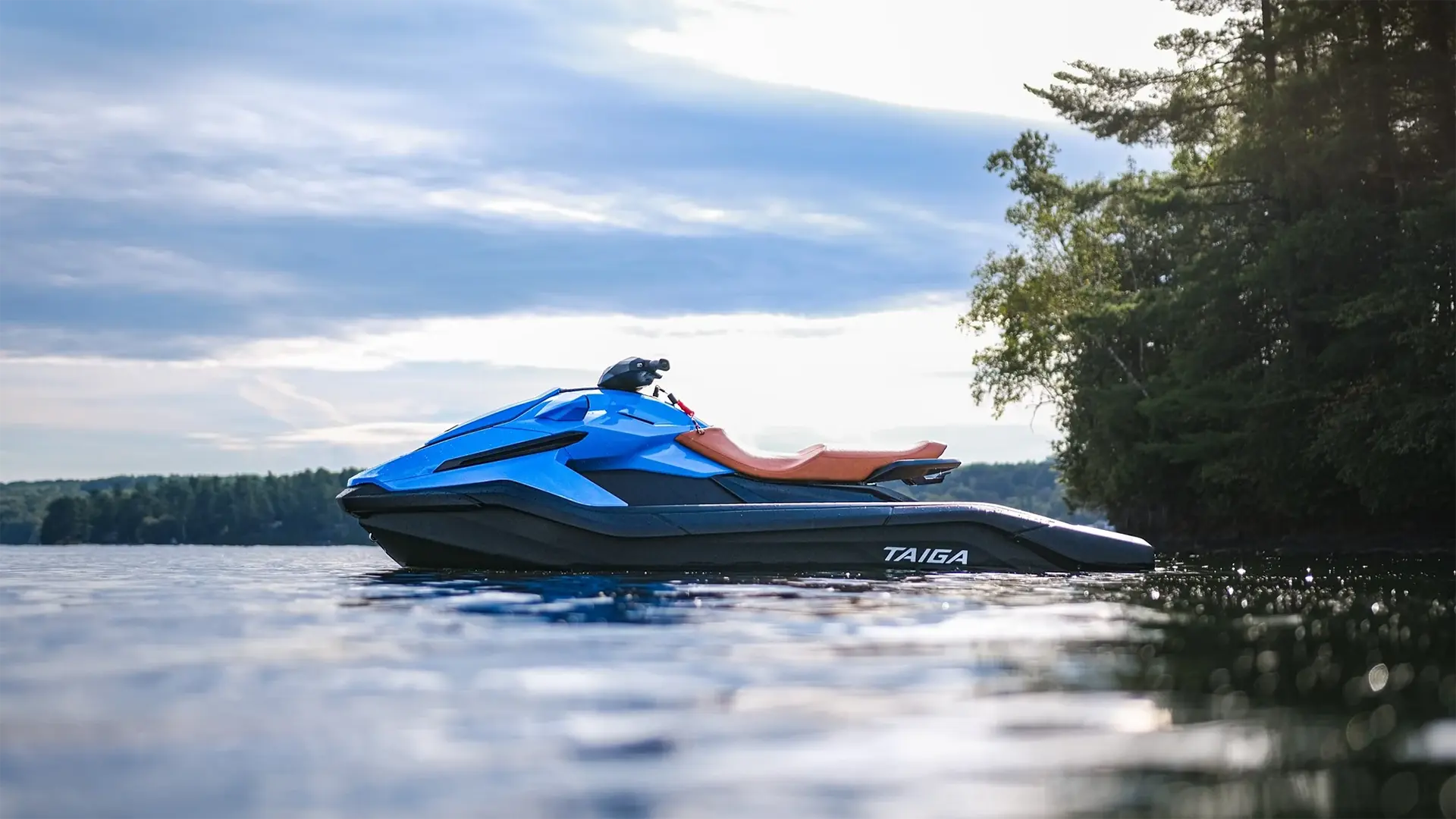 электрогидроцикл TAIGA ORCA WX3