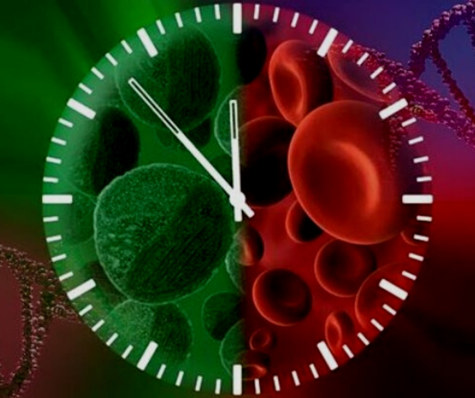 Ген биологических часов. С день биологических часов. День обнаружения Гена биологических часов. Часы ДНК. Биология часы 2023